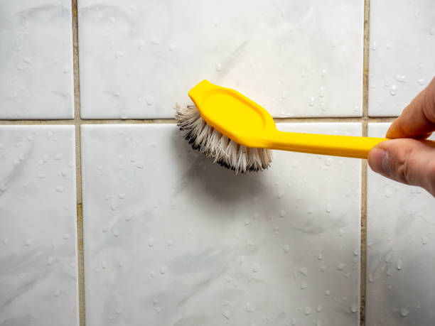 Best Mold Removal Company Near Me  in Peoria Heights, IL